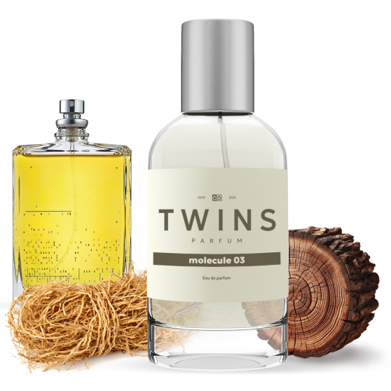TWINS Molecule 03