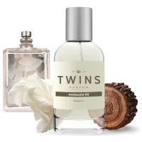 TWINS Molecule 05