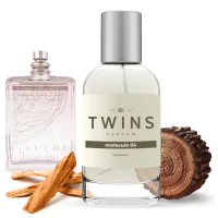 TWINS Molecule 04