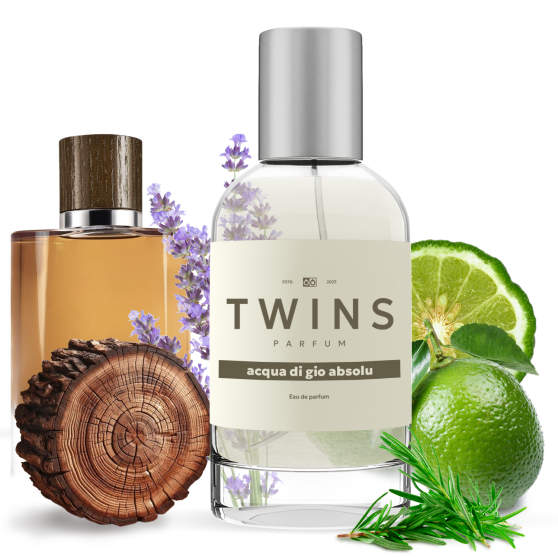 TWINS Acqua di Gio Absolu