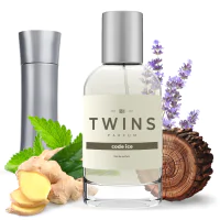 TWINS Code Ice