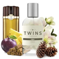 TWINS Cigar