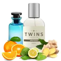 TWINS Aftermoon