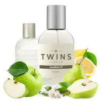 TWINS Another 13