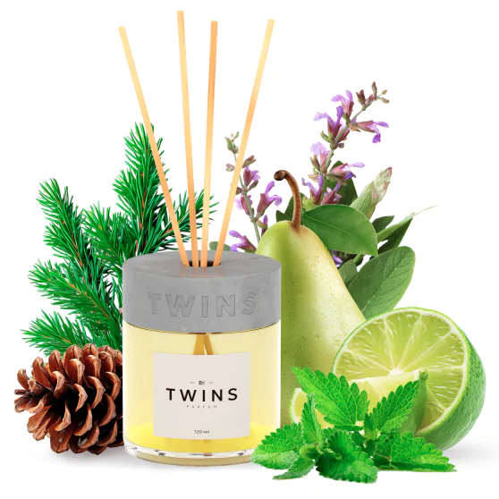 Аромадифузор TWINS Patchouli balsam