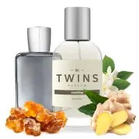 TWINS Castley