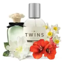 TWINS Dolce