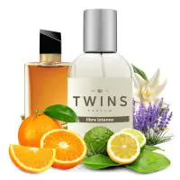 TWINS Libre Intense