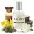 TWINS Santal Blush