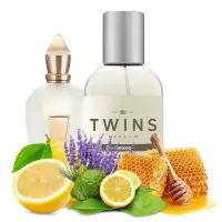 TWINS Naxos
